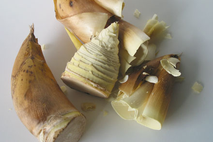 Winter Bamboo Shoots