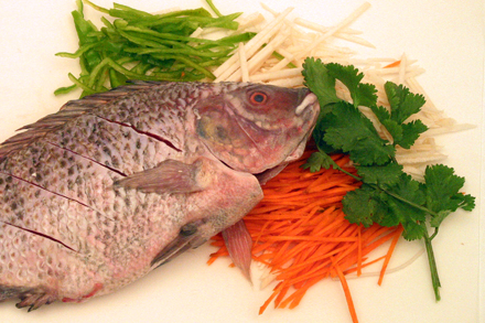 fresh-tilapia.jpg