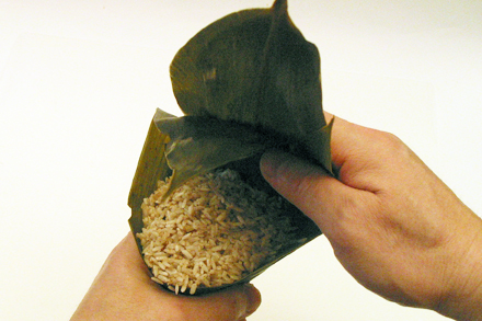 Wrapping Zongzi 3