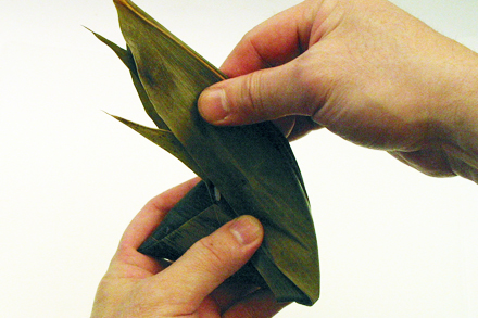 Wrapping Zongzi 4