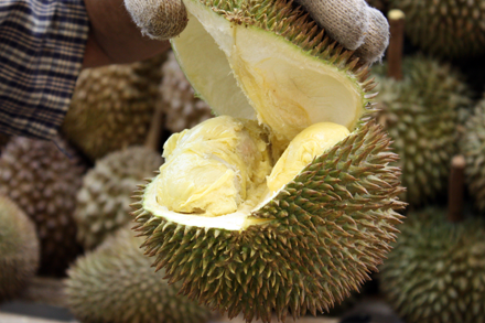 Cracking Open a Durian