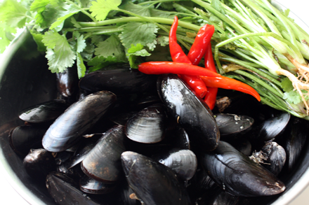 Mussels and Cilantro