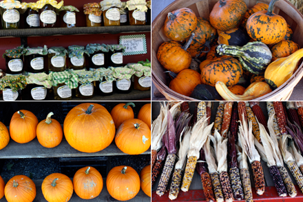 Pumpkins at Farm Stand